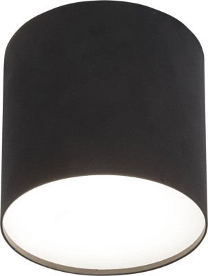 Oprawa sufitowa POINT PLEXI M BL