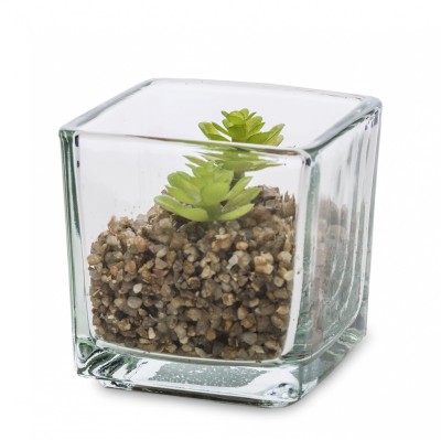 Roślina ozdobna w szkle 129474