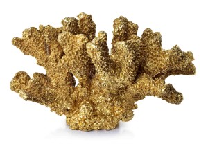SAMOA CORAL GOLD Figura