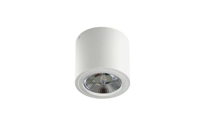 LAMPA SPOT ALIX 230V BIAŁA