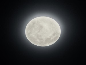 PLAFON LUNAR LED 22W BIAŁY 627514000