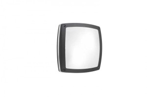 PLAFON/KINKIET ZEWNĘTRZNY FANO S30 IP54 CIEMNY SZARY AZ4370