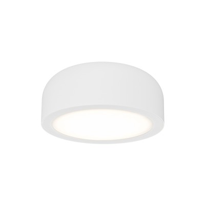 Cedrone PL Bianco 12 CCT