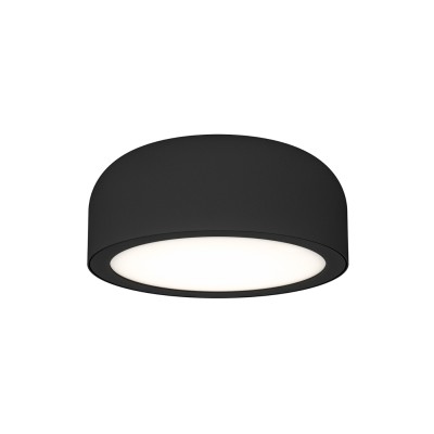Cedrone PL Nero 12 CCT