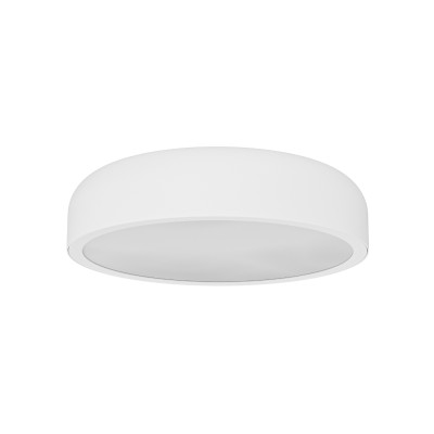Cedrone PL Bianco 22 CCT