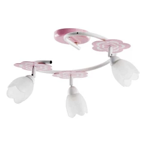 MARIA RÓŻ OP. OŚW. 3 PŁ