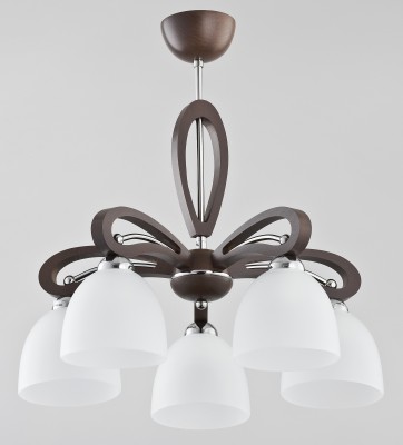 GRACJA VIGO OP.OŚW. 5 PŁ