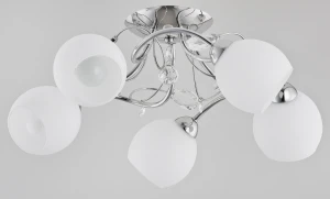 LIVIA  OP. OŚW. 5 PŁ