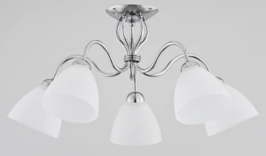 ARIEL CHROM OP.OŚW. 5 PŁ