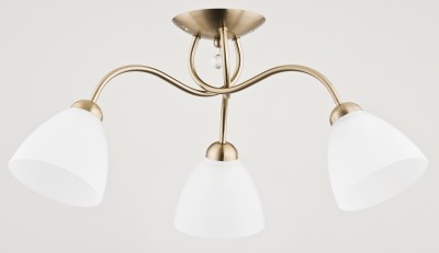 AMARILLO PATYNA OP.OŚW. 3PŁ