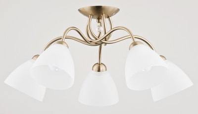 AMARILLO PATYNA OP.OŚW. 5PŁ