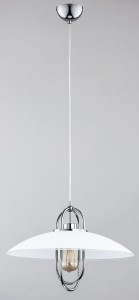 SALIX CHROM OP.OŚW. 1 PŁ