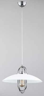 SALIX CHROM OP.OŚW. 1 PŁ