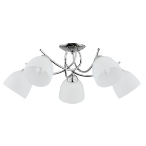 MARISA OP.OŚW. 5 PŁ