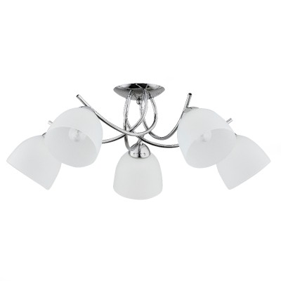 MARISA OP.OŚW. 5 PŁ