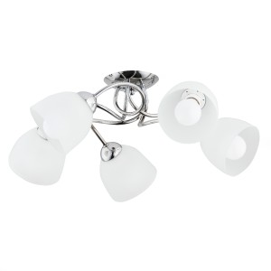 SILIA OP.OŚW. 5 PŁ