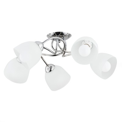 SILIA OP.OŚW. 5 PŁ