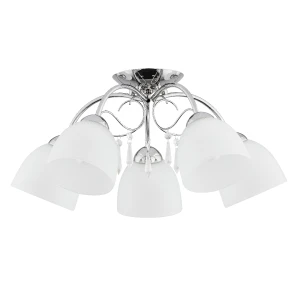 NATA OP.OŚW.  5 PŁ