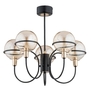 PETRA OP. OŚW. 5 PŁ