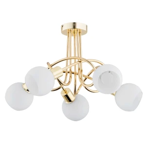 ERYKA OP. OŚW. 5 PŁ