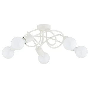 BOSTON CREAM OP.OŚW. 5 PŁ