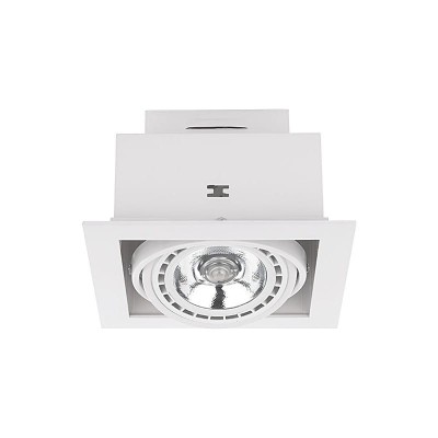 Oprawa sufitowa DOWNLIGHT WH 1pł ES111