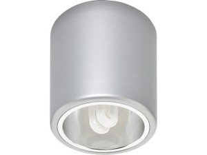 Plafon/Oprawa sufitowa DOWNLIGHT M srebrny 4868-NOW