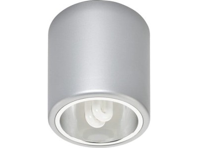 Plafon/Oprawa sufitowa DOWNLIGHT M srebrny 4868-NOW