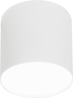 Oprawa sufitowa POINT PLEXI M WH
