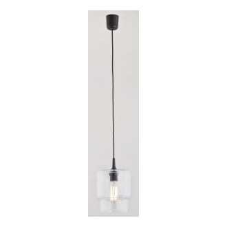 Lampa wisząca Newa 1 pł bezbarwny