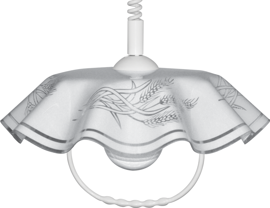 WLA-02-FA-004-kopia.png