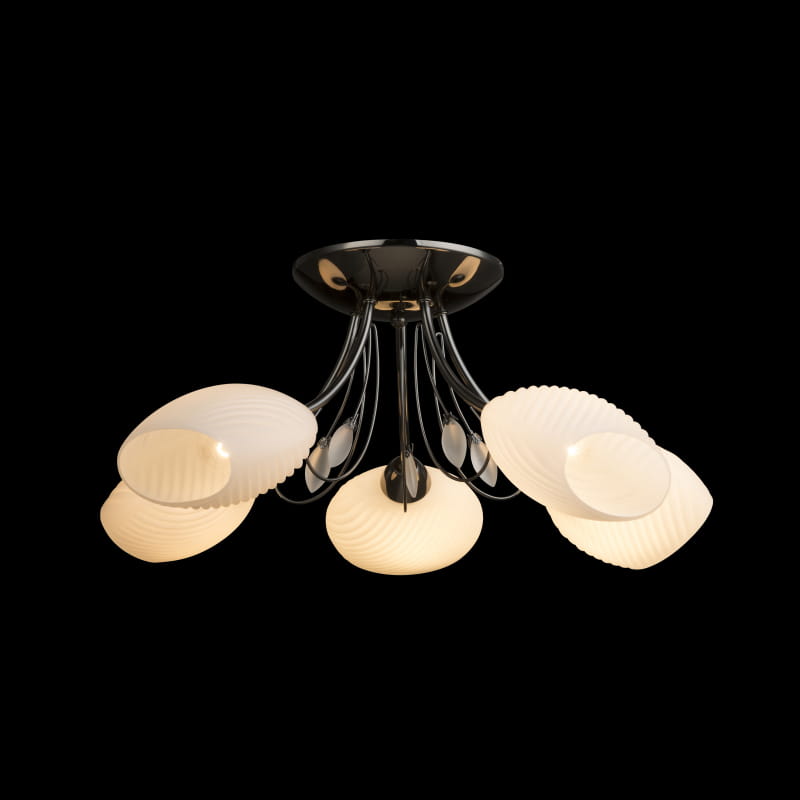 todra-60217-5dar.jpg
