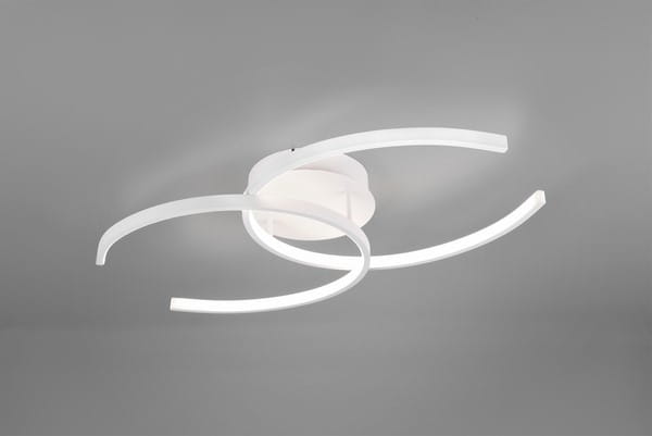 R67011131.jpg