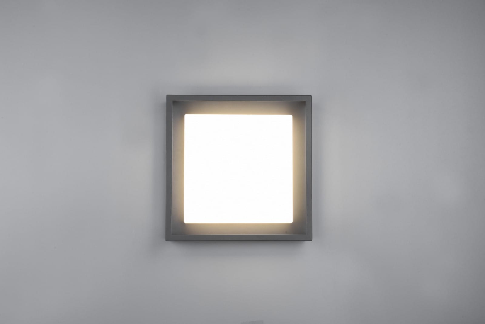 677860142_1.jpg