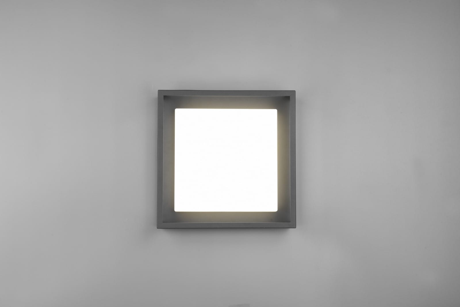 677860142_6.jpg