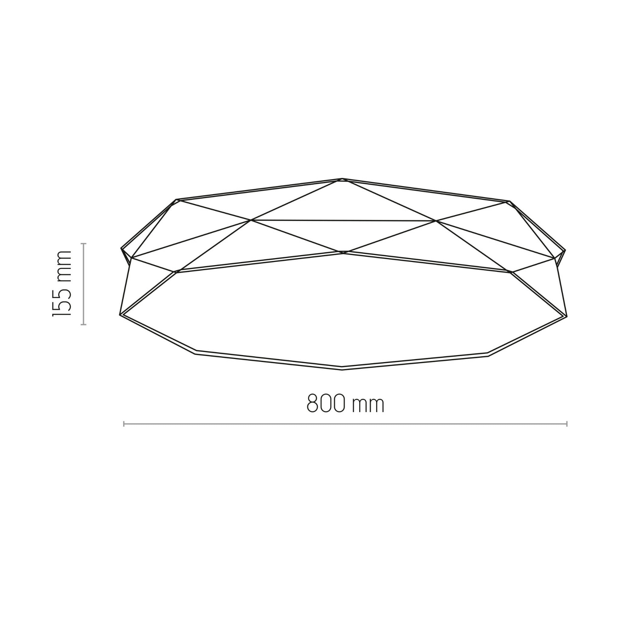 6196_2.jpg