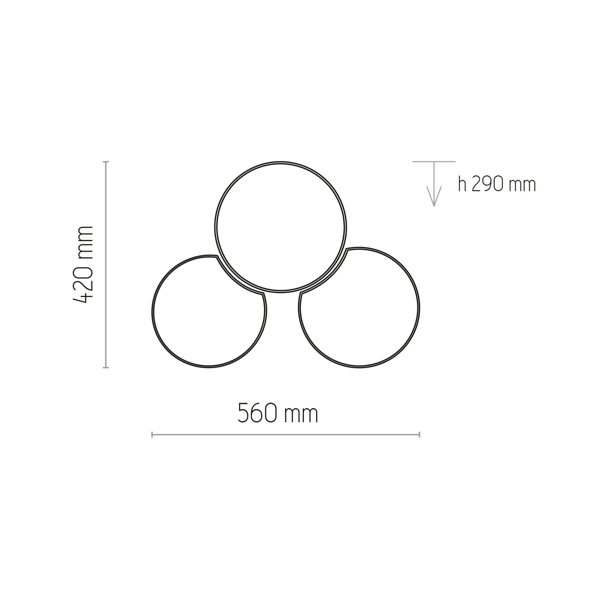 6591_2.jpg