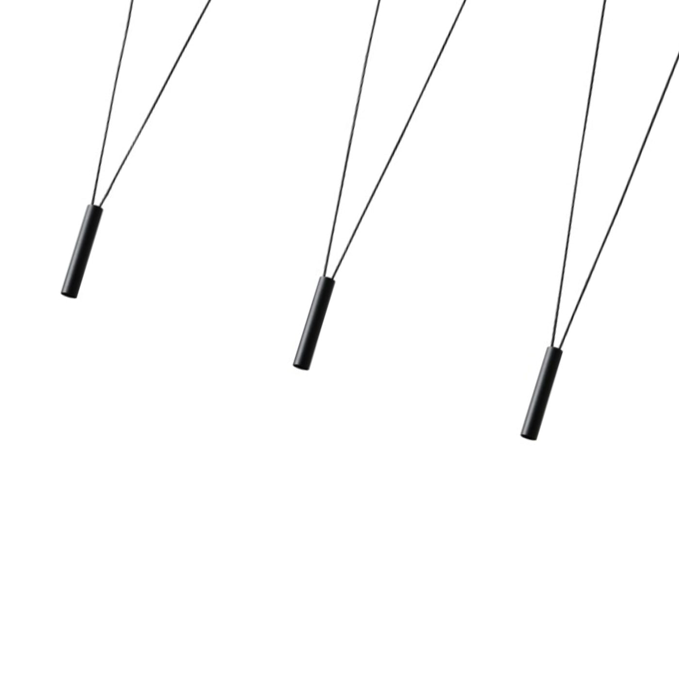 OR84337_1.jpg