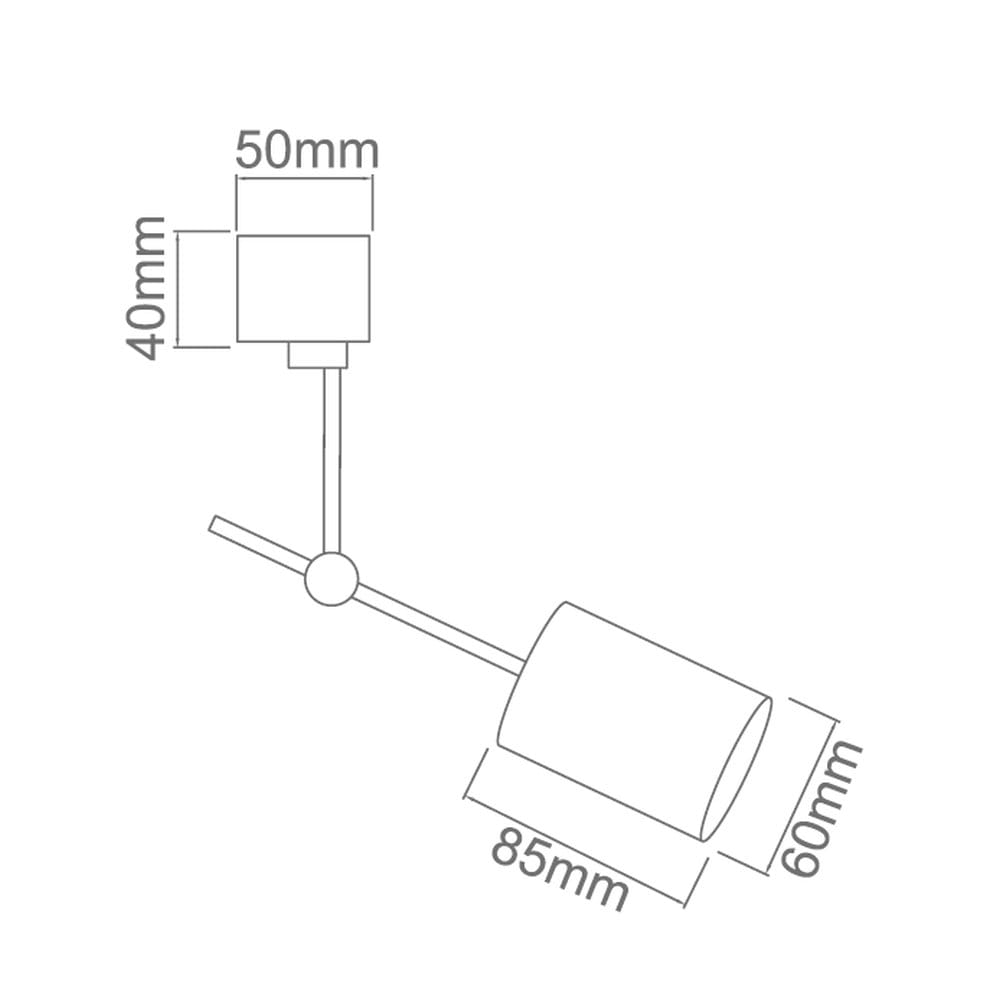 OR82470_1.jpg