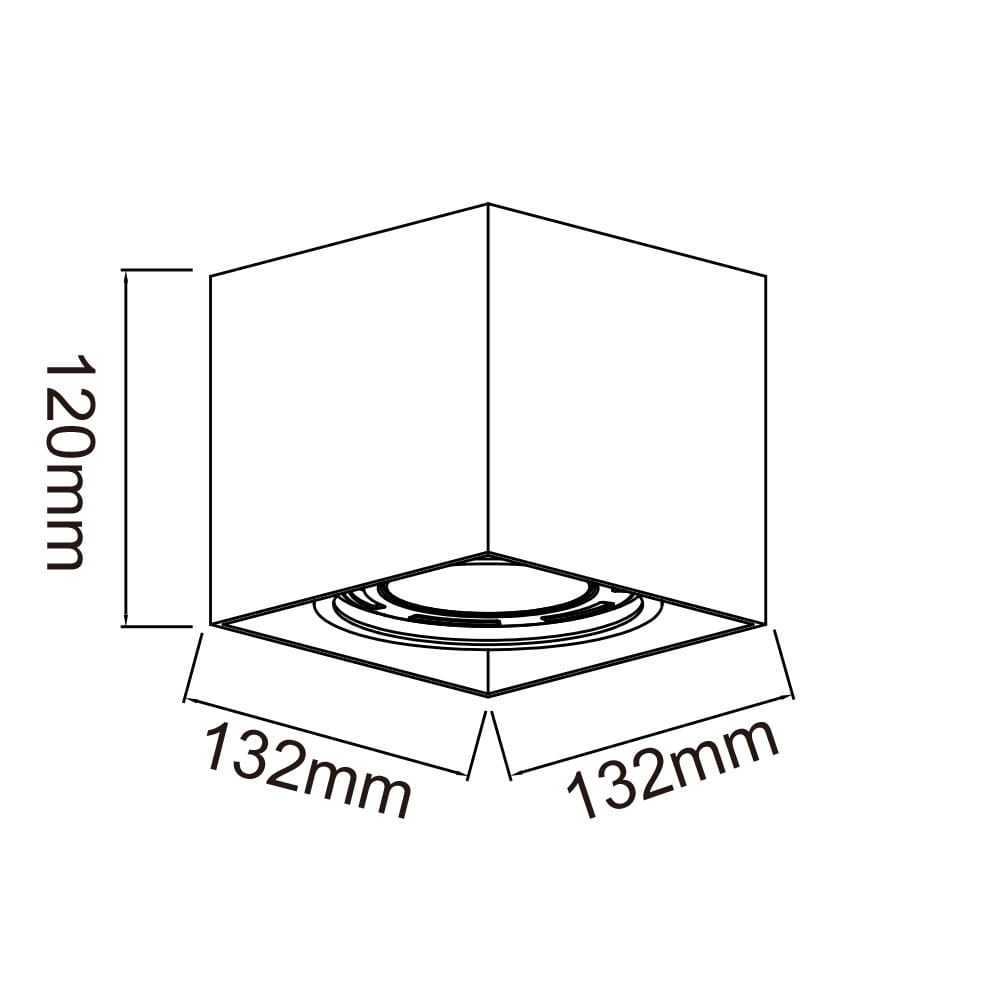 OR81947_2.jpg